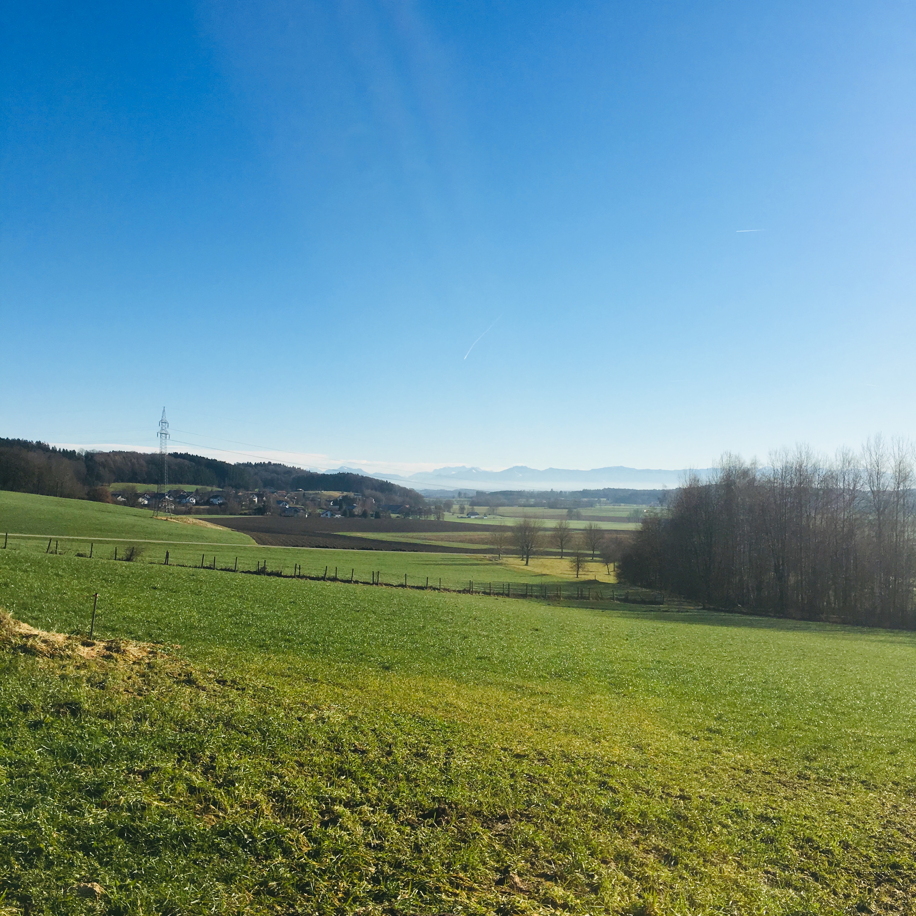 Frühstückspension: ein schöner Tag - Pension am Weberhof