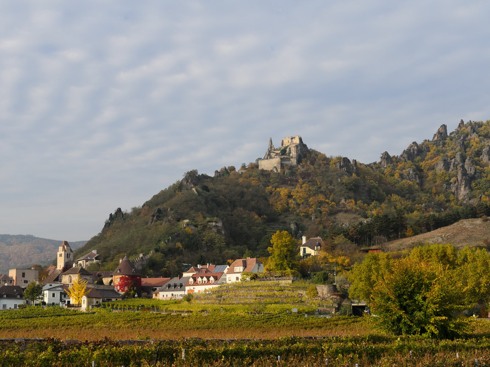 Frühstückspension: Ruine Dürnstein - Gästehaus Familie Trachsler