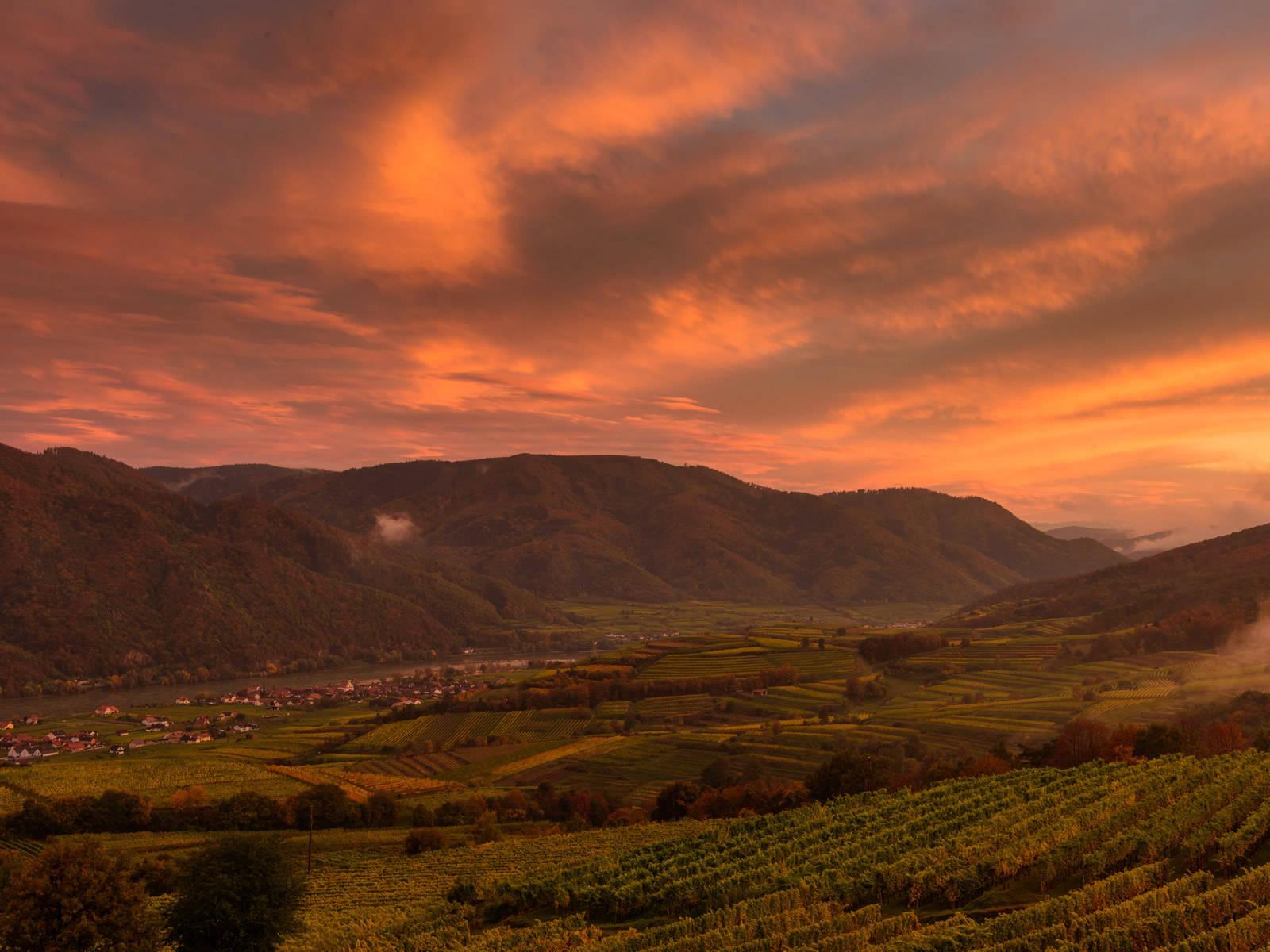 Frühstückspension: Sonnenuntergang in der Wachau - Gästehaus Familie Trachsler