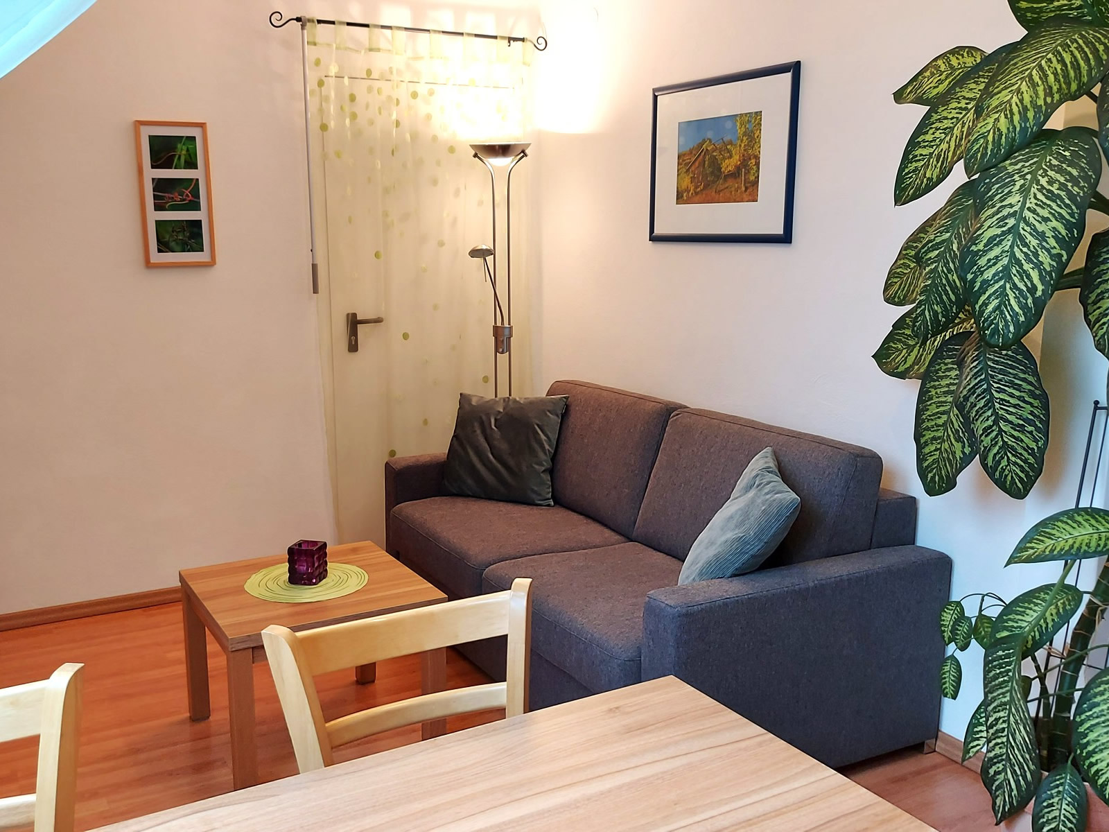 Gästehaus Familie Trachsler Zimmerkategorien Ferienwohnung