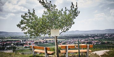 Pensionen - Donauraum - Blick vom Weinberg auf Rohrendorf - Schmankerl und Gast Familie Heiderer