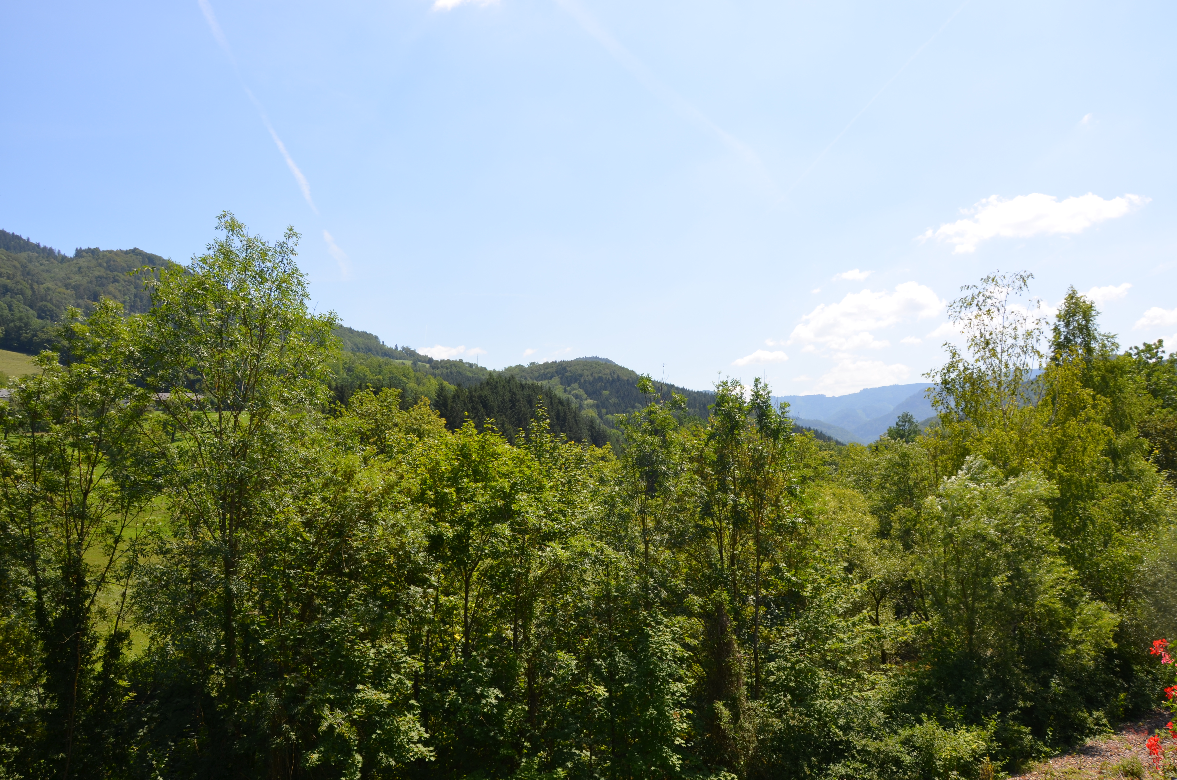 Frühstückspension: Gasthof Steinbruchwirt