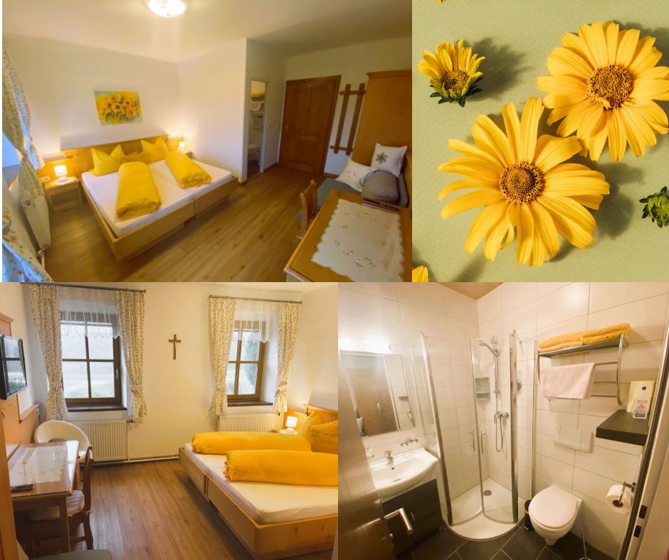 Pensionen - Garten - Mostviertel - Doppelzimmer Bichlbirn - Familienbauernhof Strassbauer