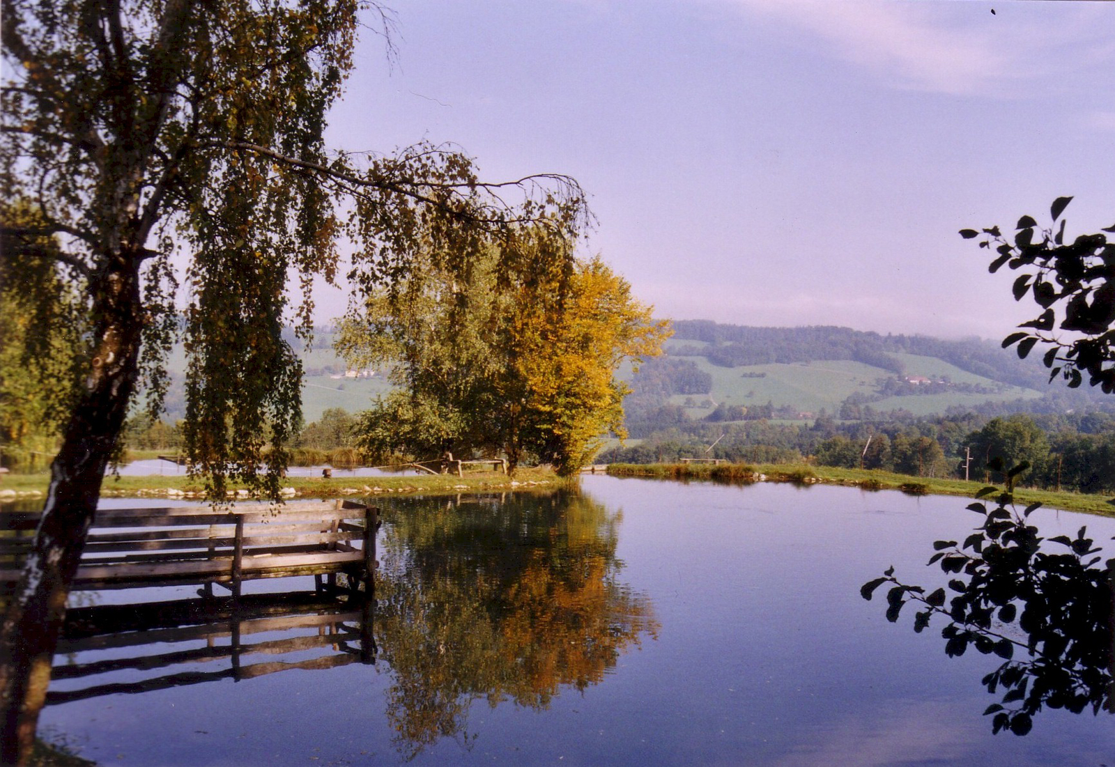 Pensionen - Garten - Mostviertel - Forellenhof Biobauernhof Familie Erber, Forellenteiche, Fische zum selber fischen oder kaufen - Forellenhof Familie Erber