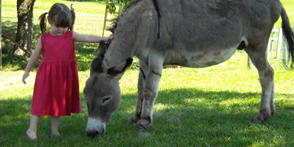 Pensionen - Parkplatz: kostenlos bei der Pension - Mostviertel - Forellenhof Biobauernhof Familie Erber, Streicheltiere wie Ponys- selber Ponyführen, Esel, Katzen, Ziegen, Hasen, ... - Forellenhof Familie Erber