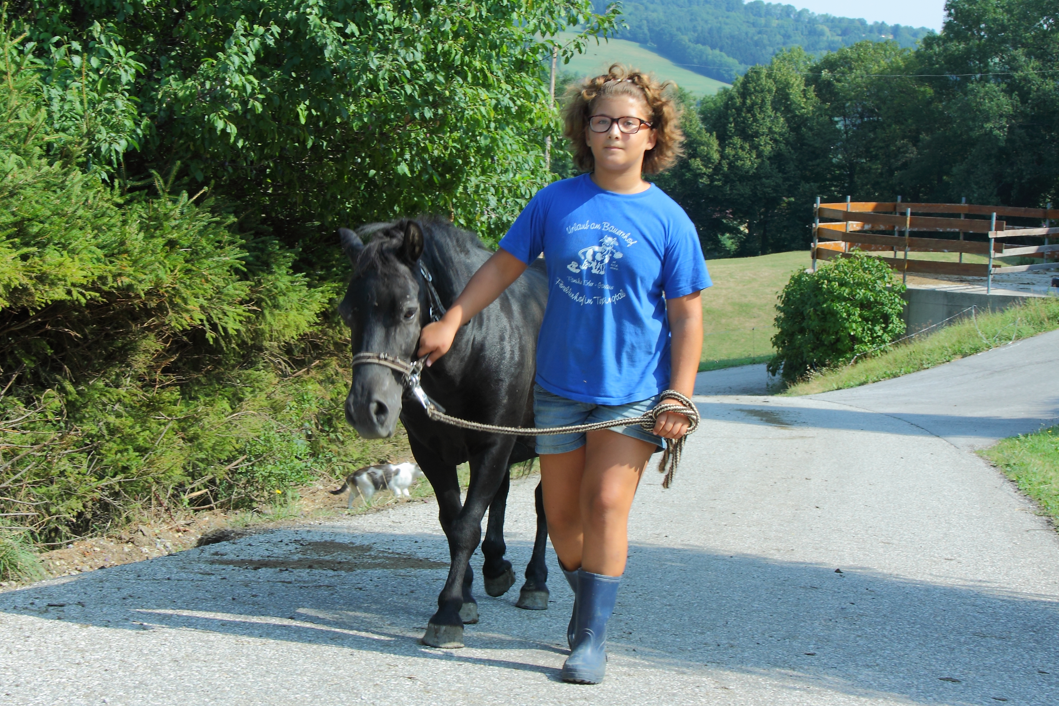 Frühstückspension: Forellenhof Biobauernhof Familie Erber, Ponys zum Streicheln und Striegeln, Führen, gratis Ponyreiten - selberführen, in der Nähe ein guter Reiterhof - Forellenhof Familie Erber