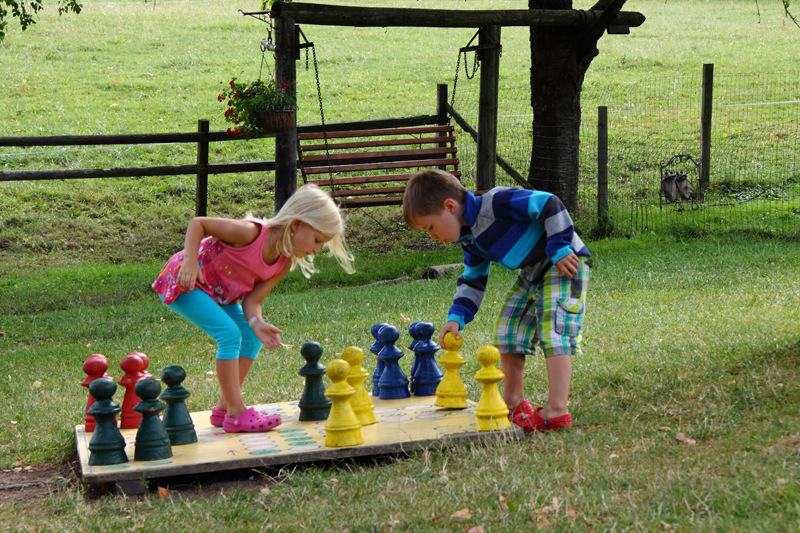 Frühstückspension: Forellenhof Biobauernhof Familie Erber, großer Spielplatz mit Spielturm, Trampolin, Sandkiste, Bobbycarplatz, Fußballplatz, ... - Forellenhof Familie Erber