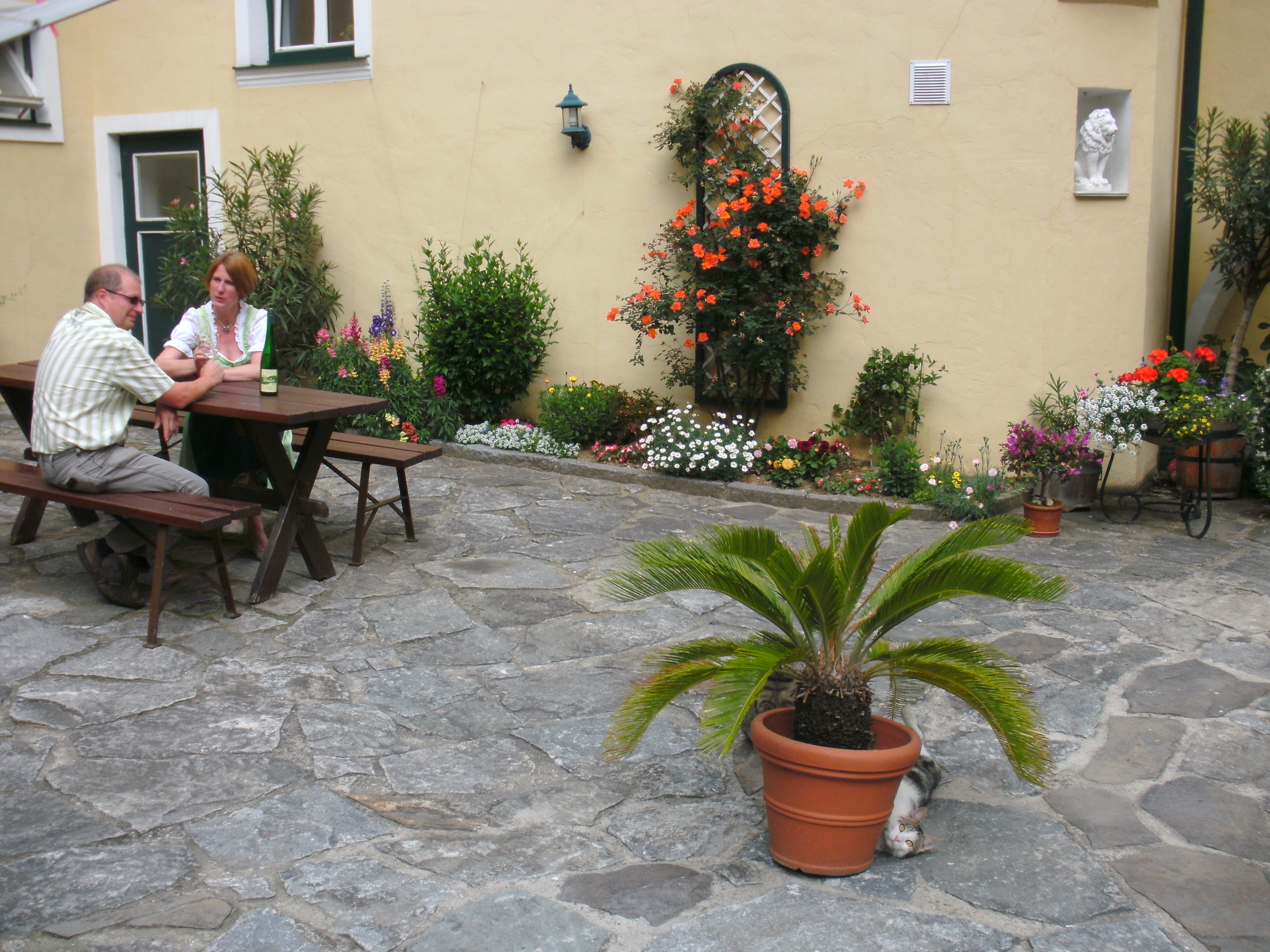 Pensionen - Pöchlarn - Gästehaus Huber