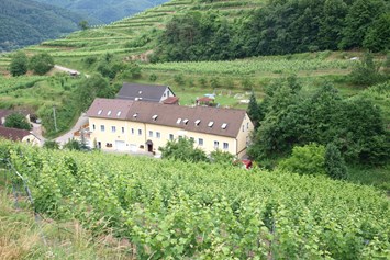 Frühstückspension: Weinbau Weidenauer - Weinbau & Gästezimmer Weidenauer