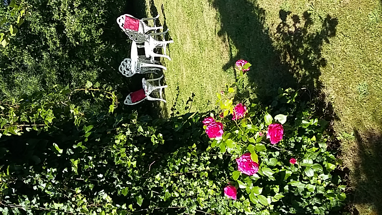 Pensionen - weitere Verpflegungsmöglichkeiten: Nachmittagskaffee - ein Sitzplatz im Garten - Genesungsort Landhaus Dammert