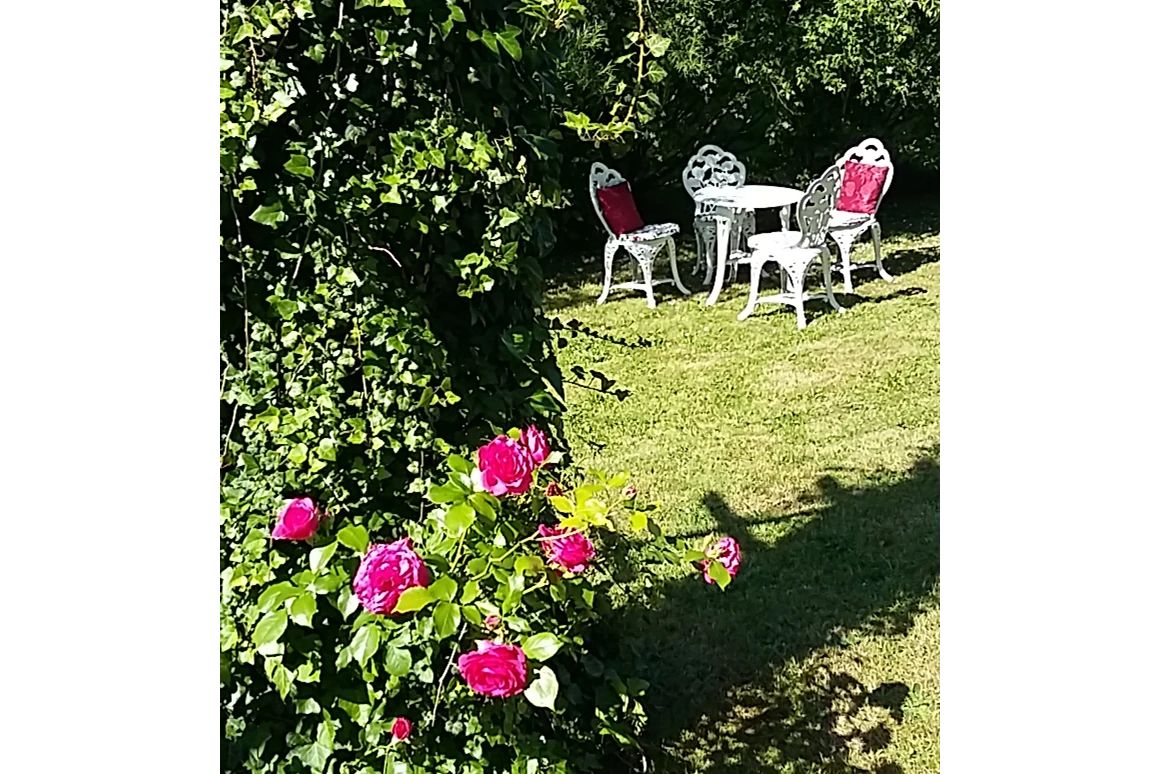 Frühstückspension: ein Sitzplatz im Garten - Genesungsort Landhaus Dammert