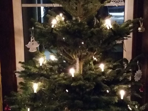 Frühstückspension: Eingangsbereich zur Weihnachtszeit - Genesungsort Landhaus Dammert