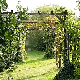 Frühstückspension: Zugang zum Garten - Genesungsort Landhaus Dammert