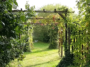 Frühstückspension: Zugang zum Garten - Genesungsort Landhaus Dammert