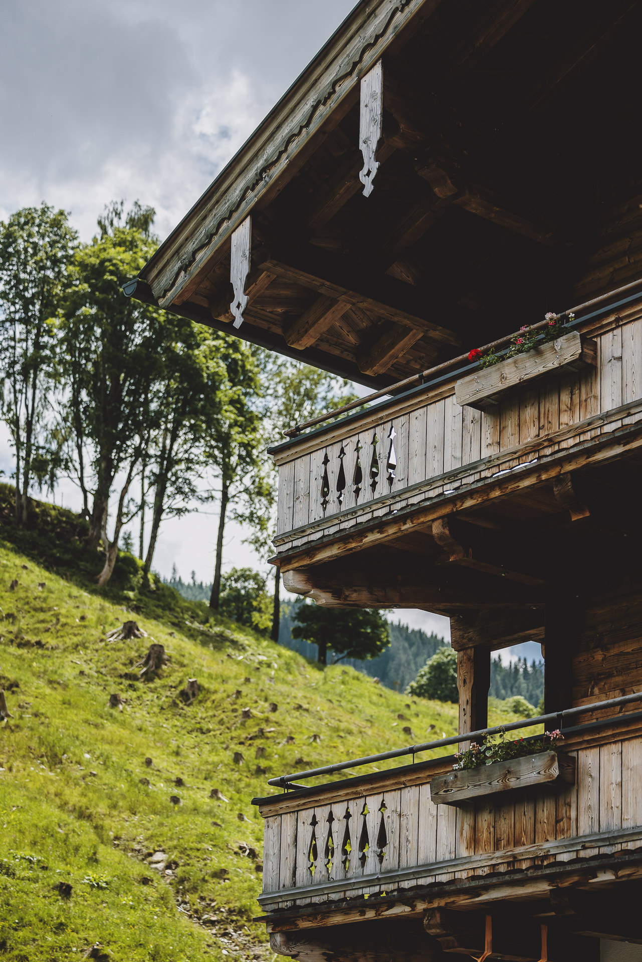 Frühstückspension: Außenansicht Sommer  - Wieshofgut