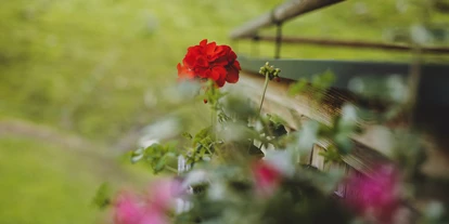 Pensionen - Parkplatz: kostenlos bei der Pension - Leogang - Blumen Balkon Sommer  - Wieshofgut