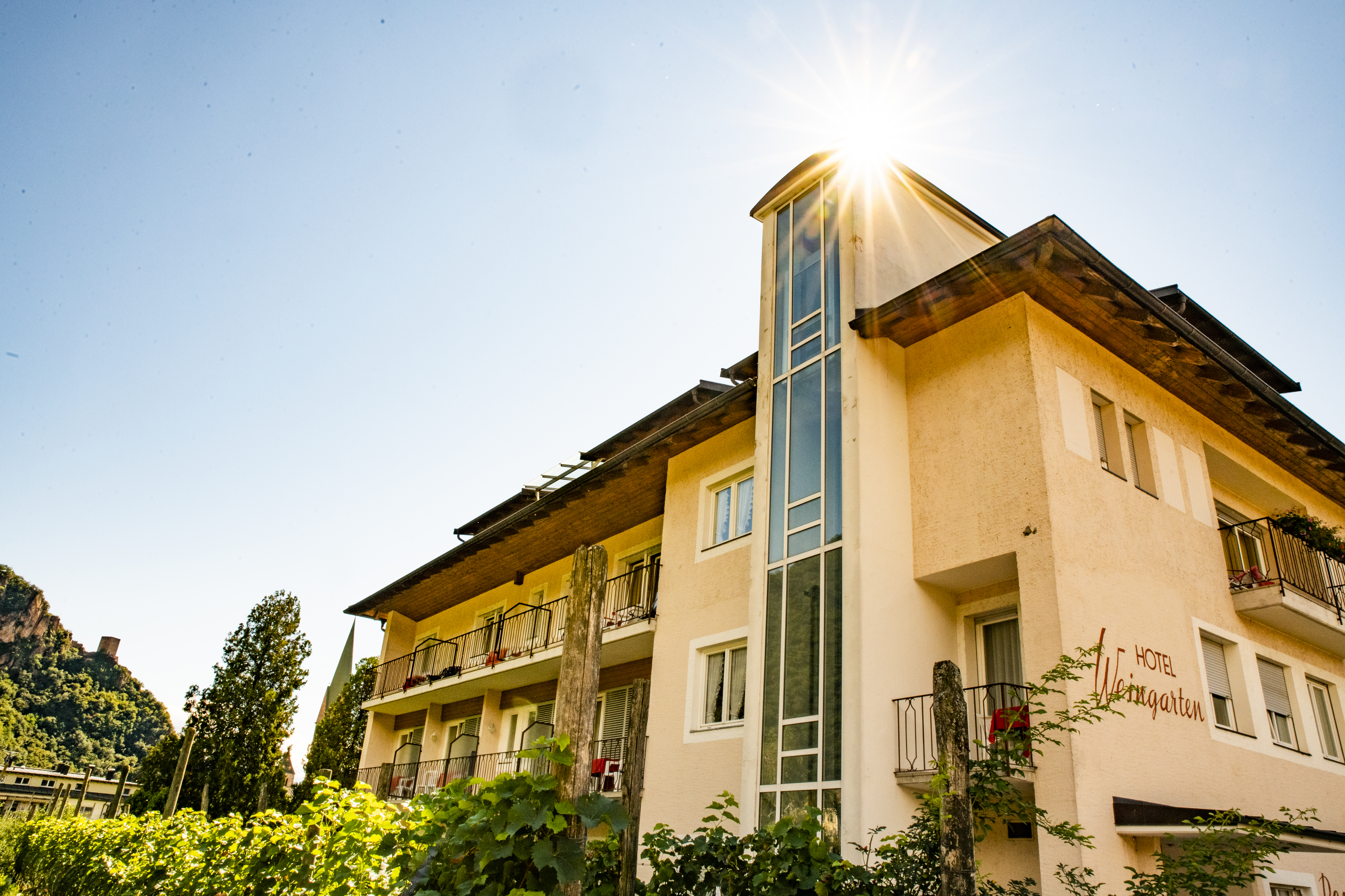 Frühstückspension: Außenansicht - Weingarten Terlan - Rooms & Breakfast