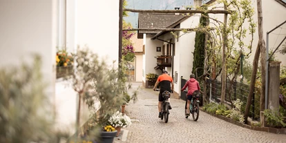 Pensionen - Neumarkt - Radfahren - Weingarten Terlan - Rooms & Breakfast