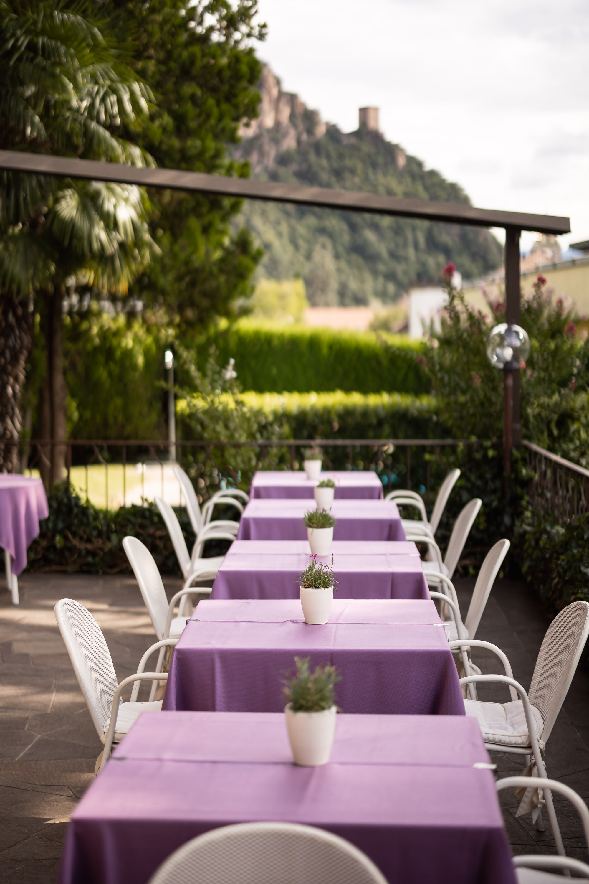 Frühstückspension: Sonnenterrasse - Weingarten Terlan - Rooms & Breakfast