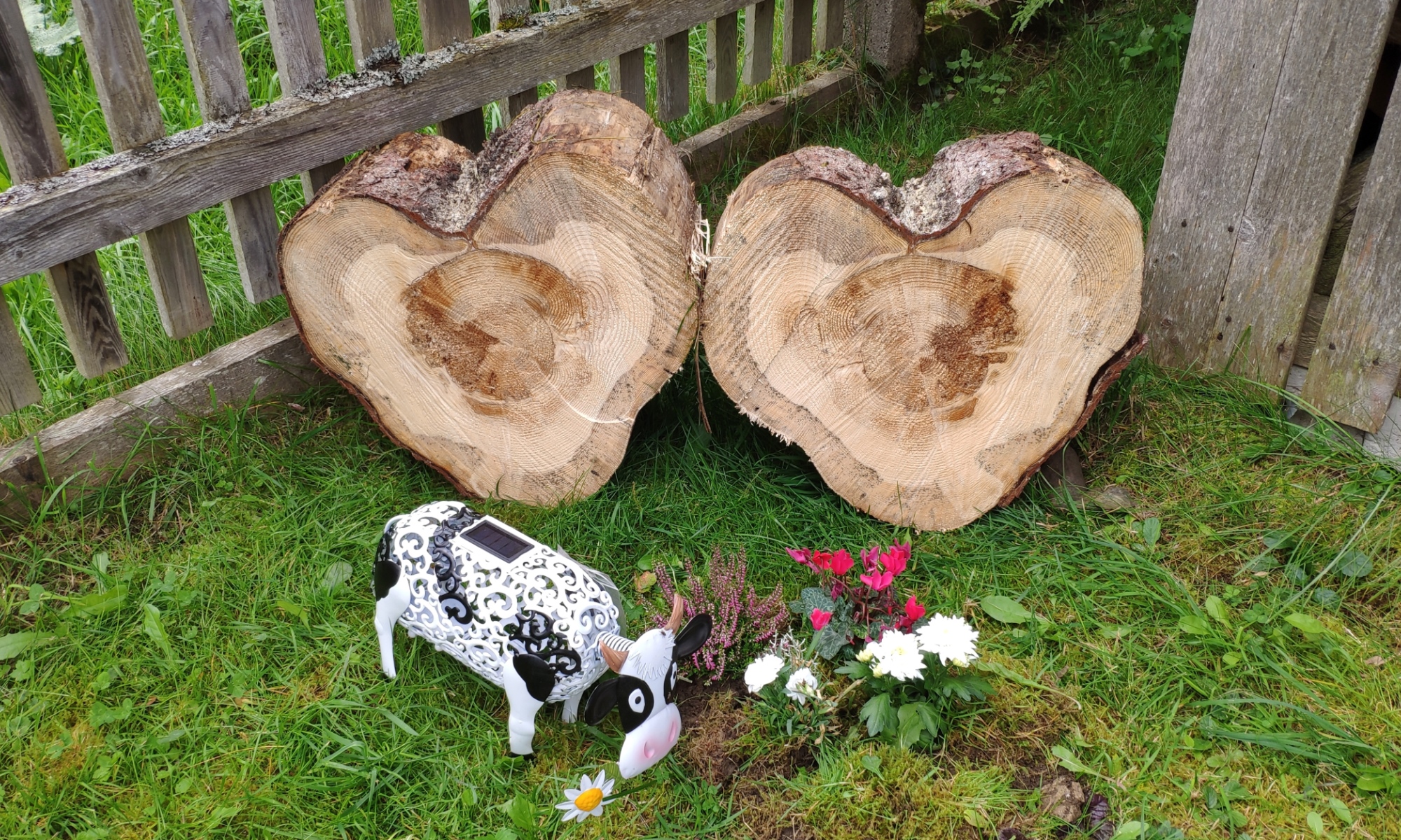 Frühstückspension: Herzlich Willkommen auf über 1000 Meter, wo wir uns mit „Du“ ansprechen und es kein „Sie“ gibt. - Haus Sternenblick