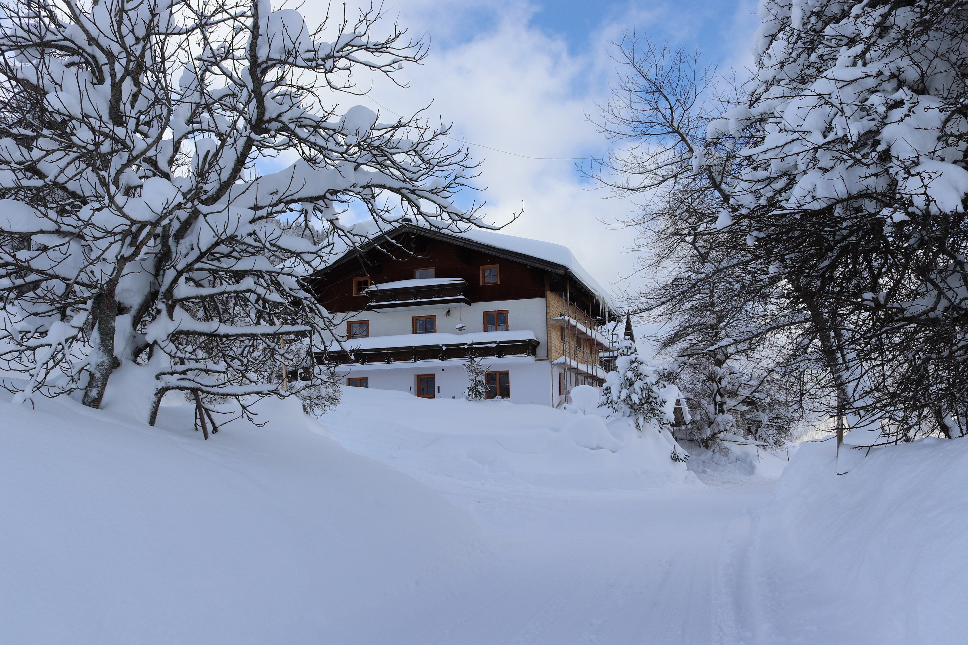 Frühstückspension: Payrhof