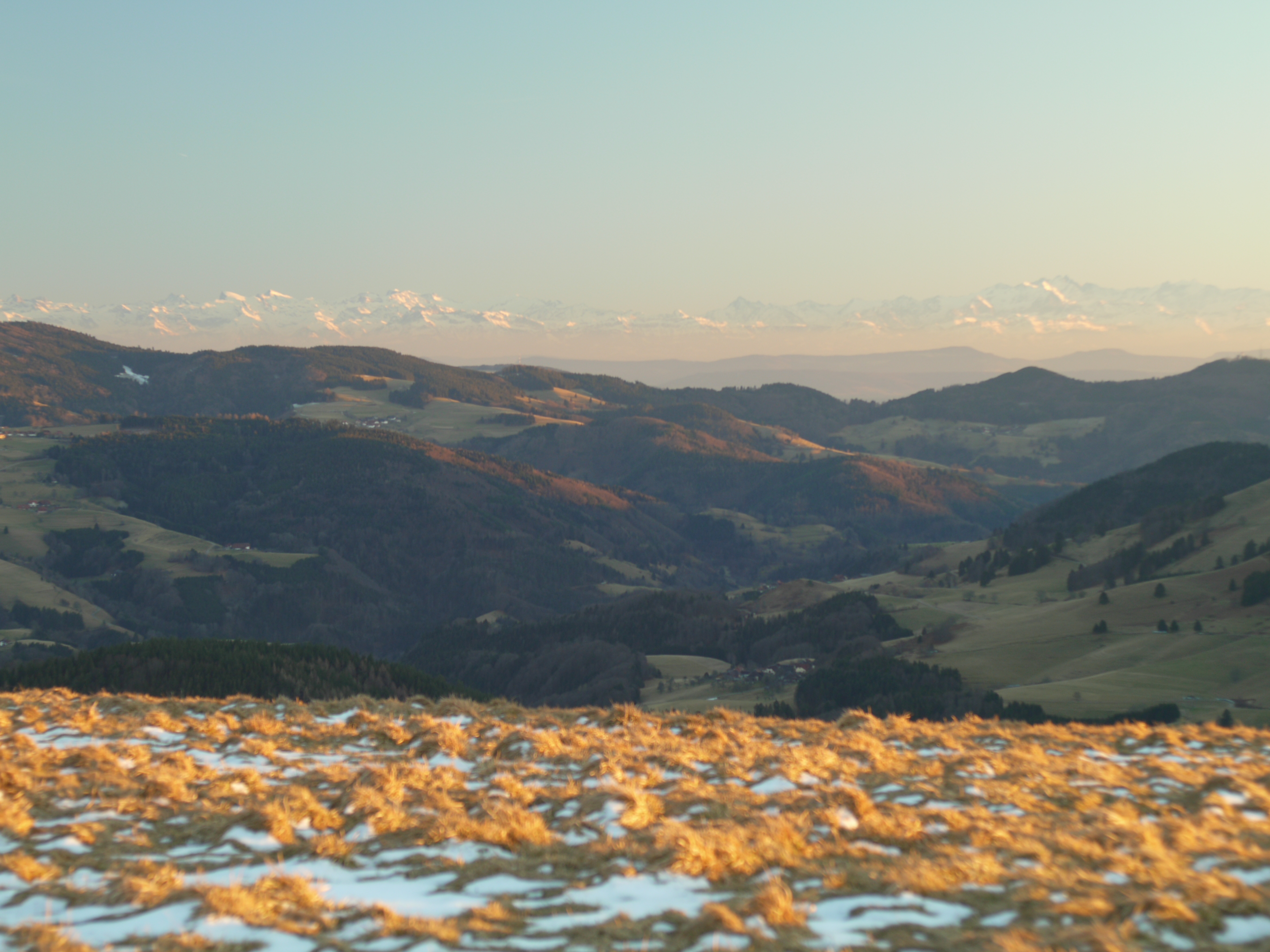 Frühstückspension: Haus Inge am Belchen im Südschwarzwald