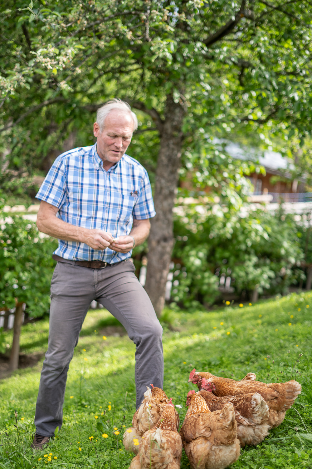 Frühstückspension: Haus Alpenblick