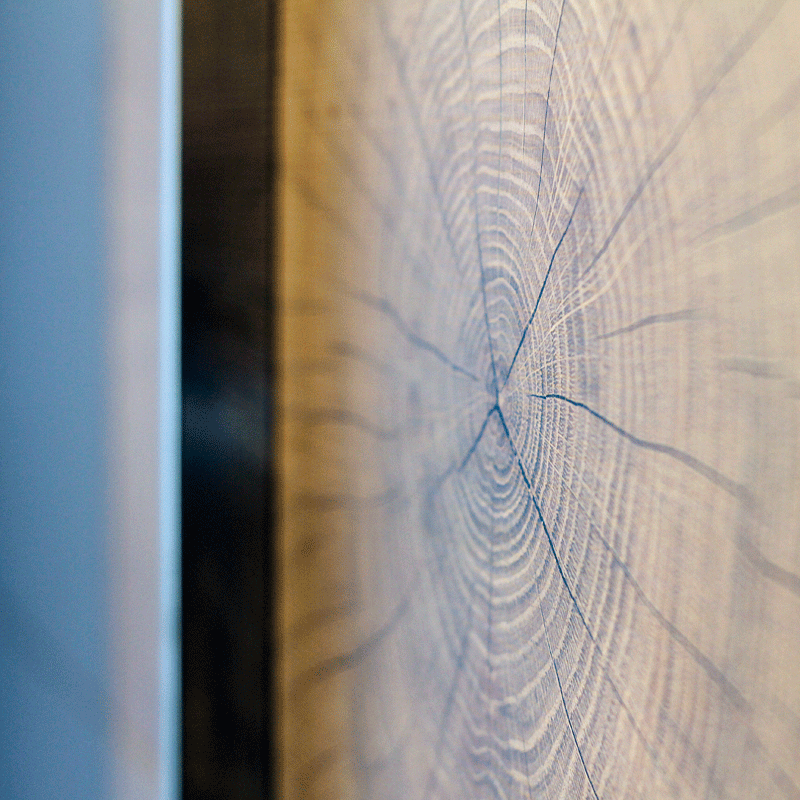 Frühstückspension: Gina's Landhaus