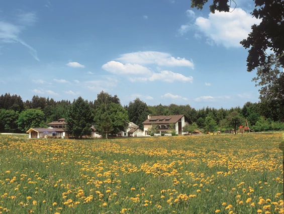 Frühstückspension: Gesamtansicht - Wald- und Tagungshotel Geländer