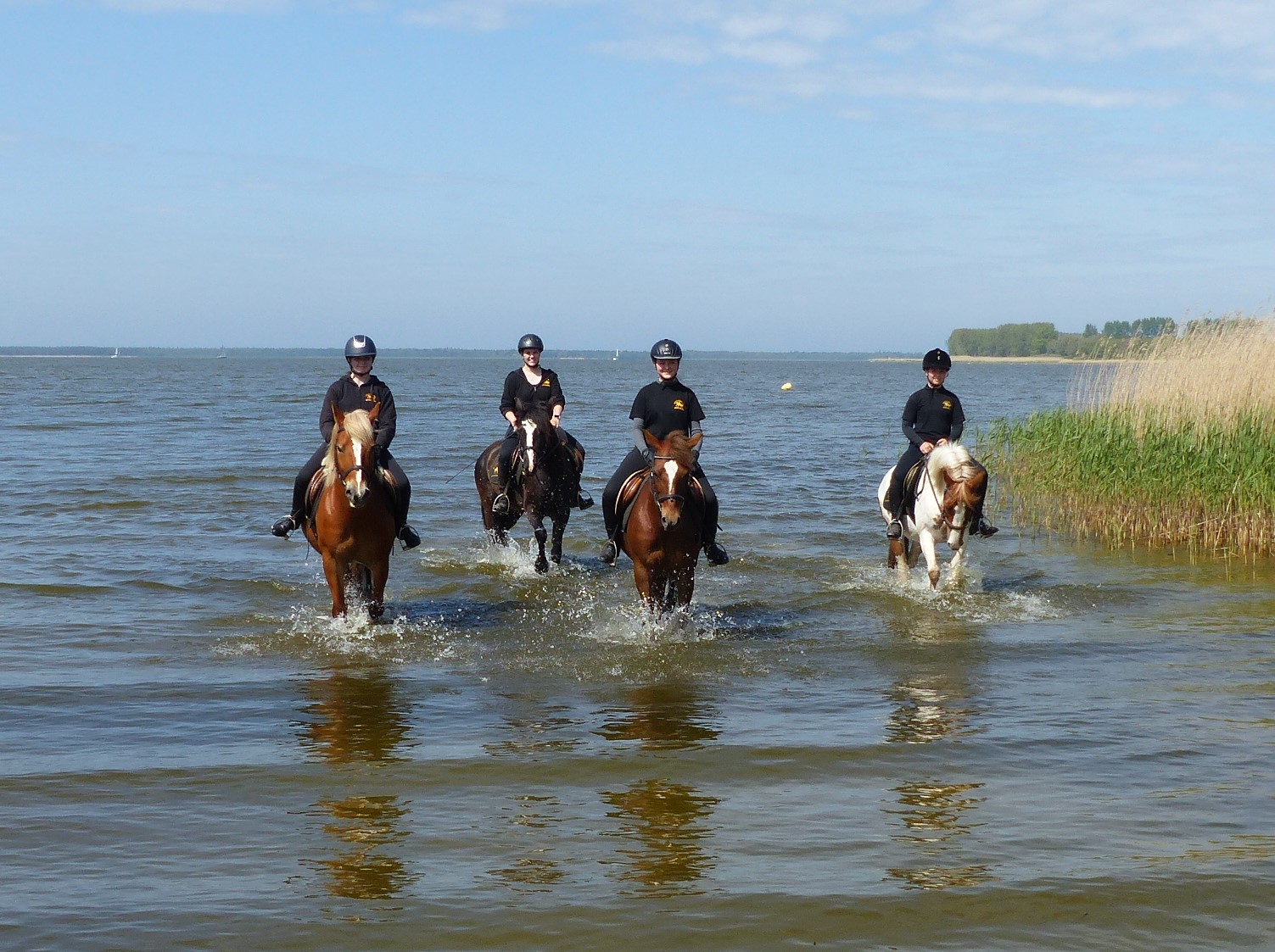 Pensionen - weitere Verpflegungsmöglichkeiten: Nachmittagskaffee - Deutschland - Lagunen-Ausritt - Bernsteinland Barth