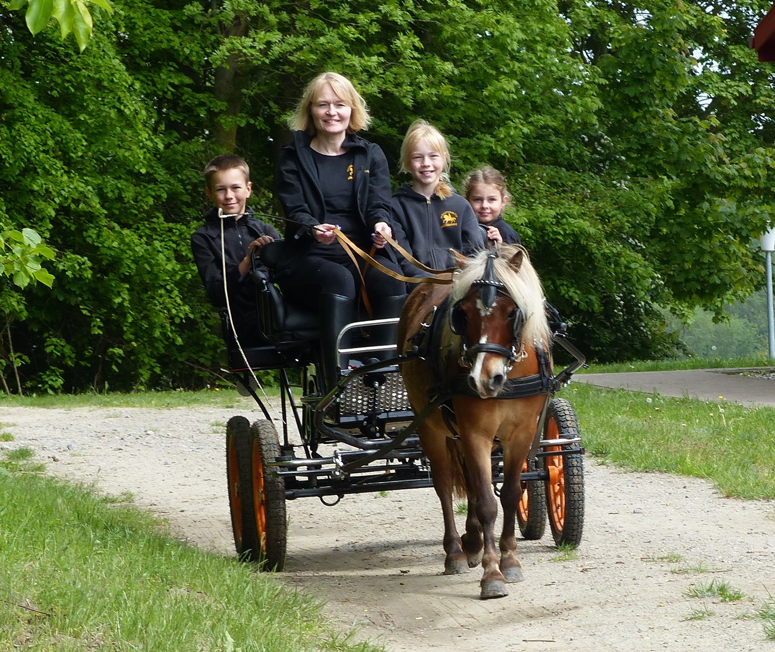 Pensionen - weitere Verpflegungsmöglichkeiten: Nachmittagskaffee - Deutschland - Kutschfahrten - Bernsteinland Barth