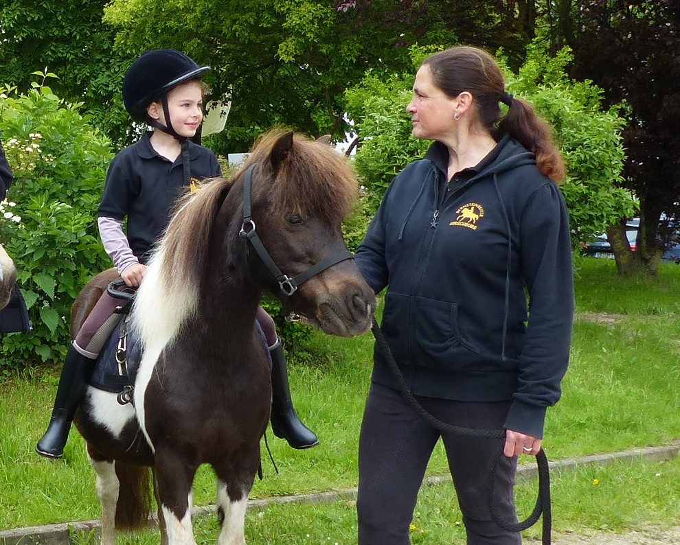 Frühstückspension: Ponyreiten - Bernsteinland Barth