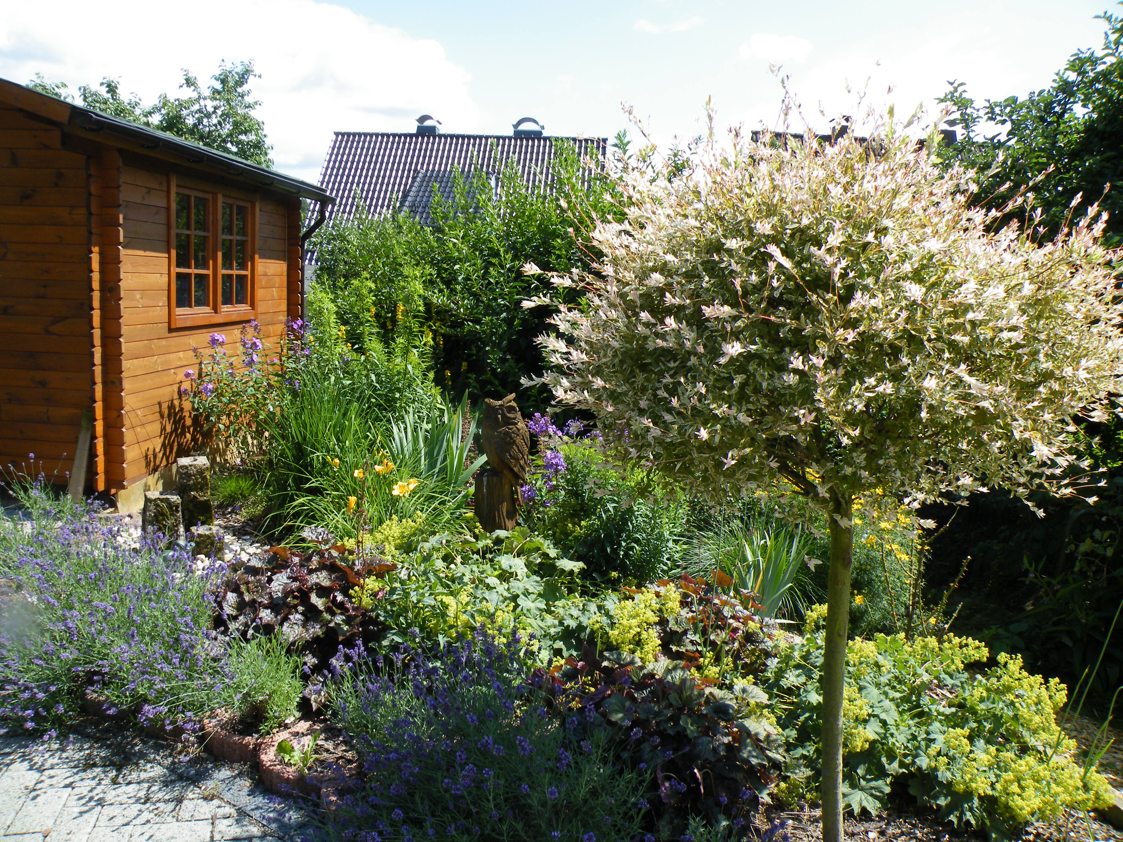 Frühstückspension: Gartenimpressionen - Ferienwohnung Balogh