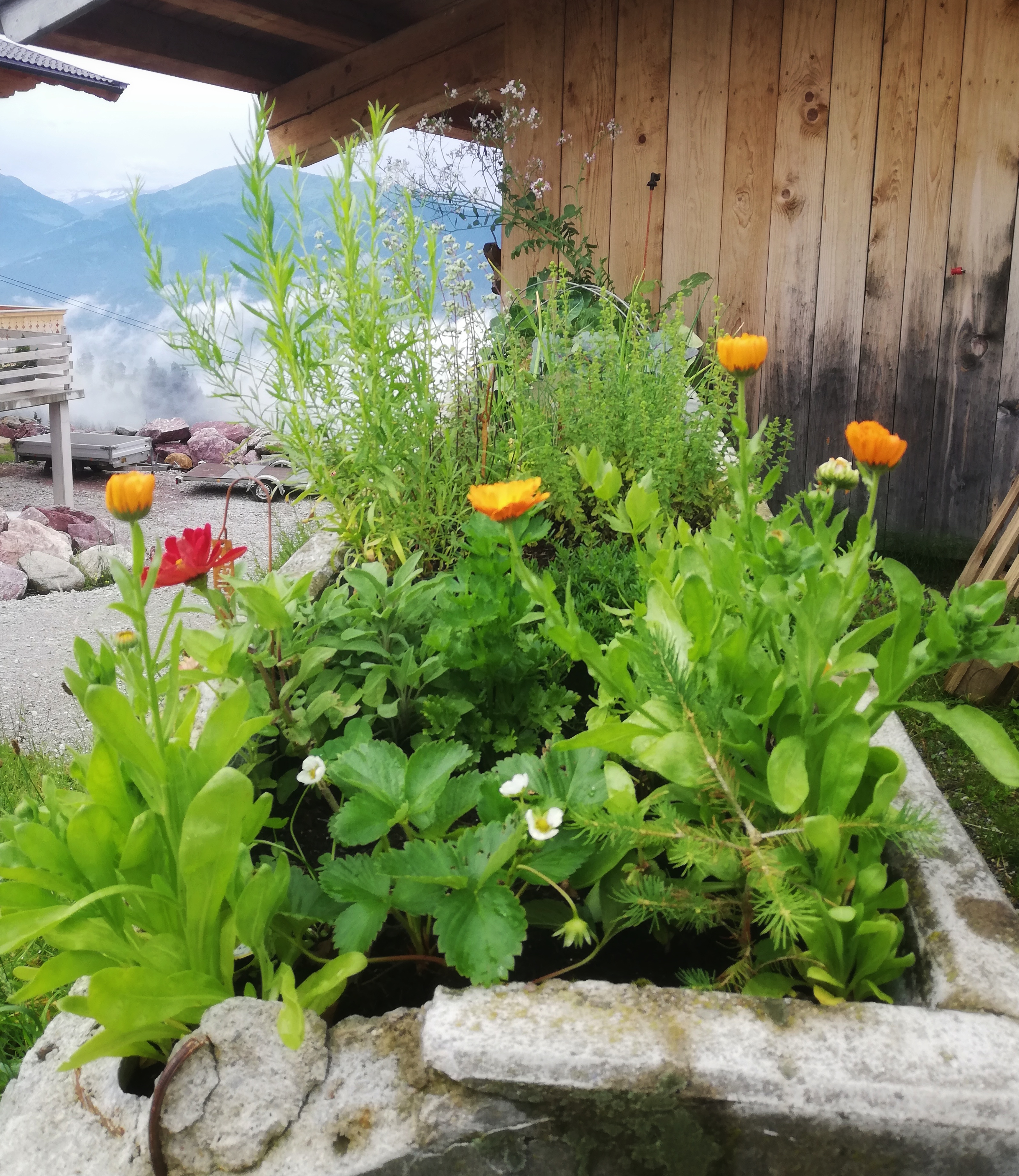 Frühstückspension: Streitenauer Kräutertrog - Bauernhof Streitenau