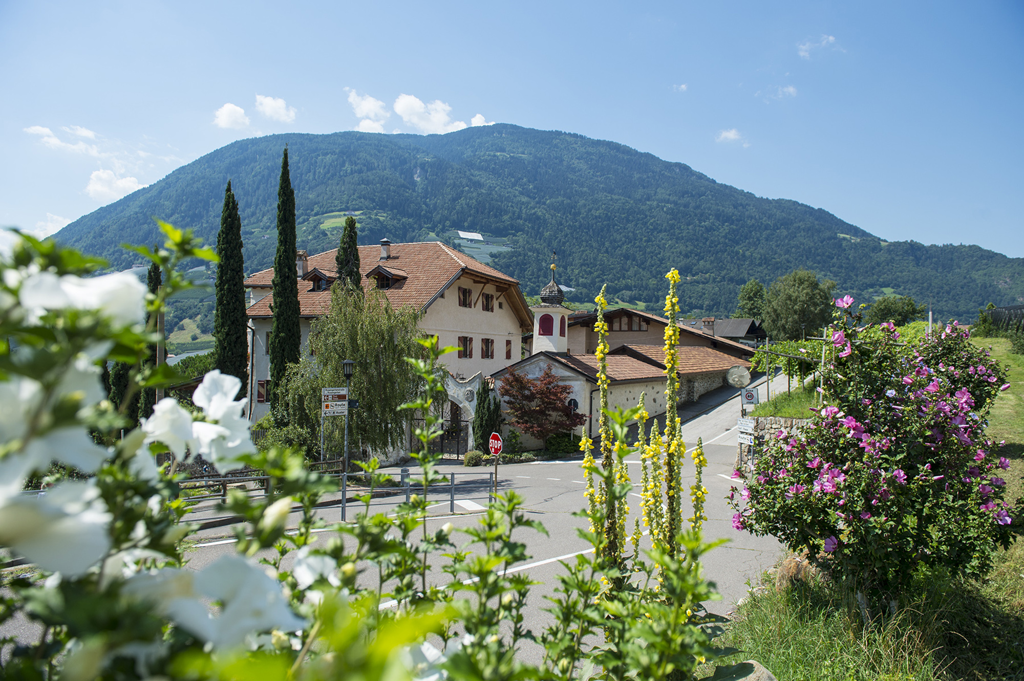 Pensionen - Girlan an der Weinstraße - Ansitz Mair im Korn