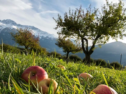 Pensionen - Naturns - Ansitz Mair im Korn