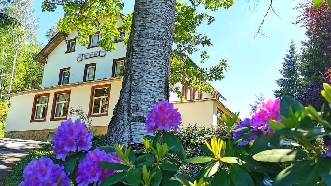 Frühstückspension: Hausansicht - Waldhaus Anna