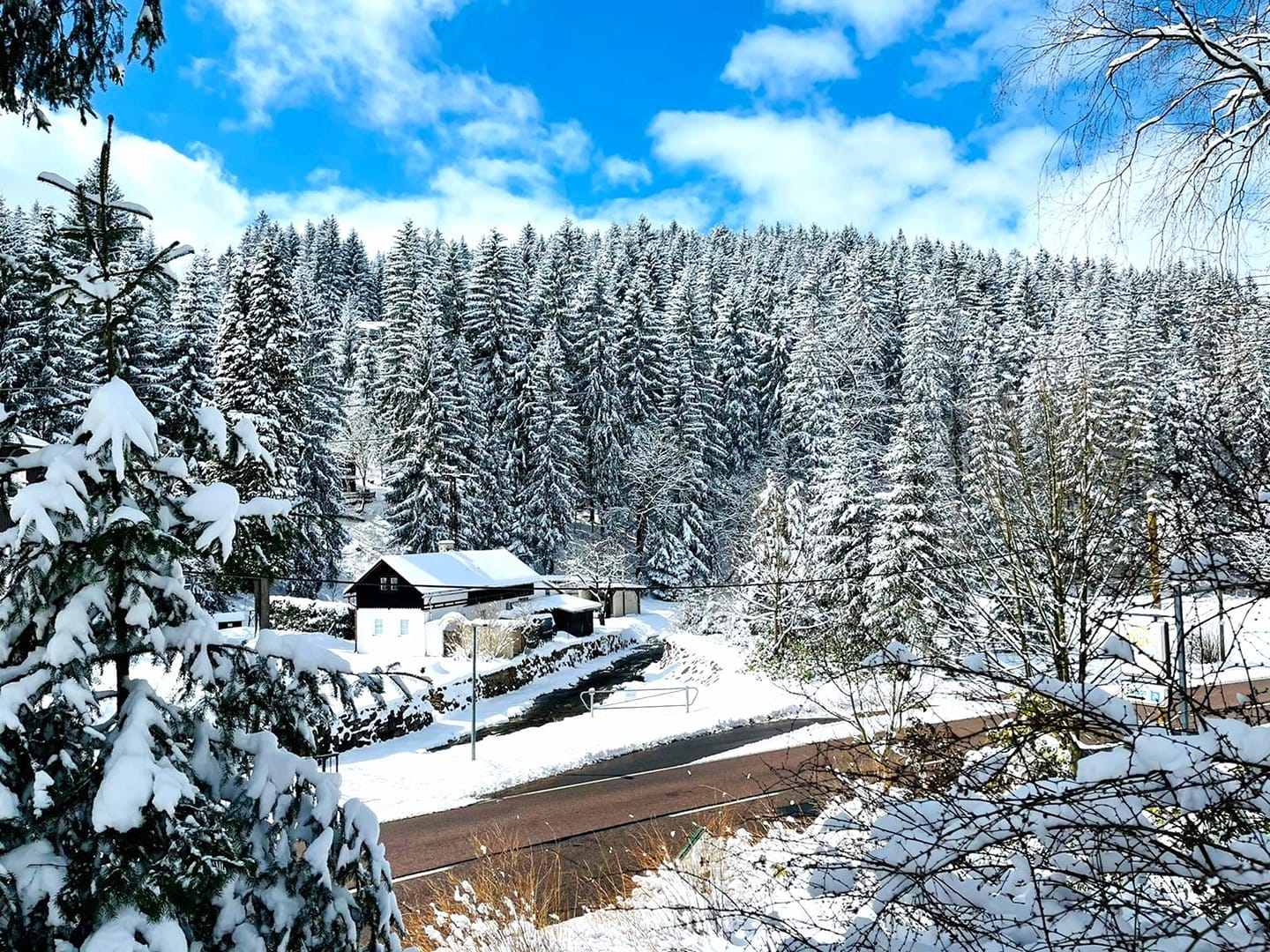 Frühstückspension: Aussicht - Waldhaus Anna