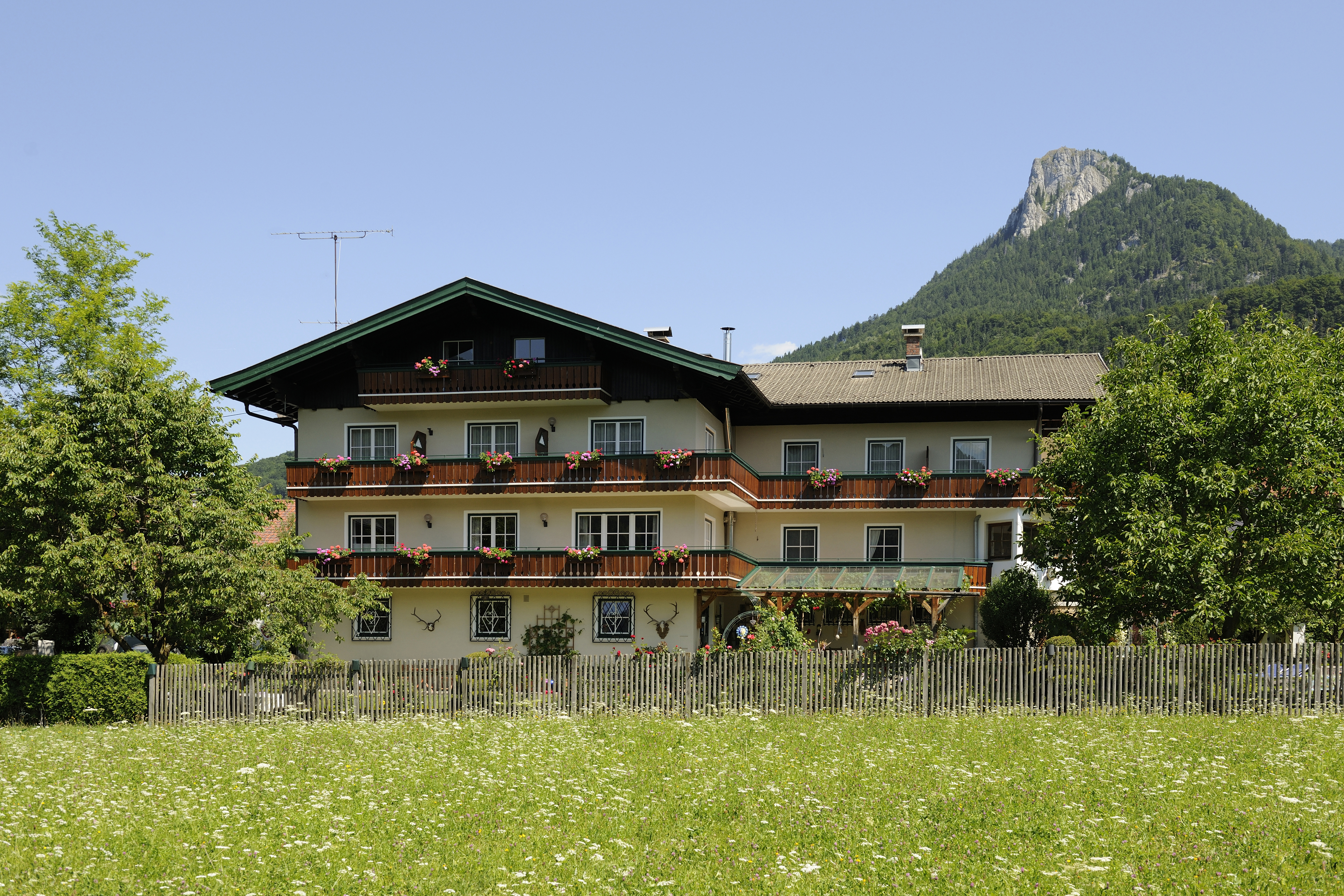 Frühstückspension: Pension Huber