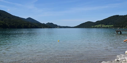 Pensionen - Art der Pension: Frühstückspension - Seewalchen am Attersee - Blick vom privaten Badeplatz Richtung Schloß Fuschl - Pension Salzburger Hof