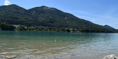 Pensionen - Art der Pension: Frühstückspension - Seewalchen am Attersee - Blick vom privaten Badeplatz Richtung Filbling - Pension Salzburger Hof