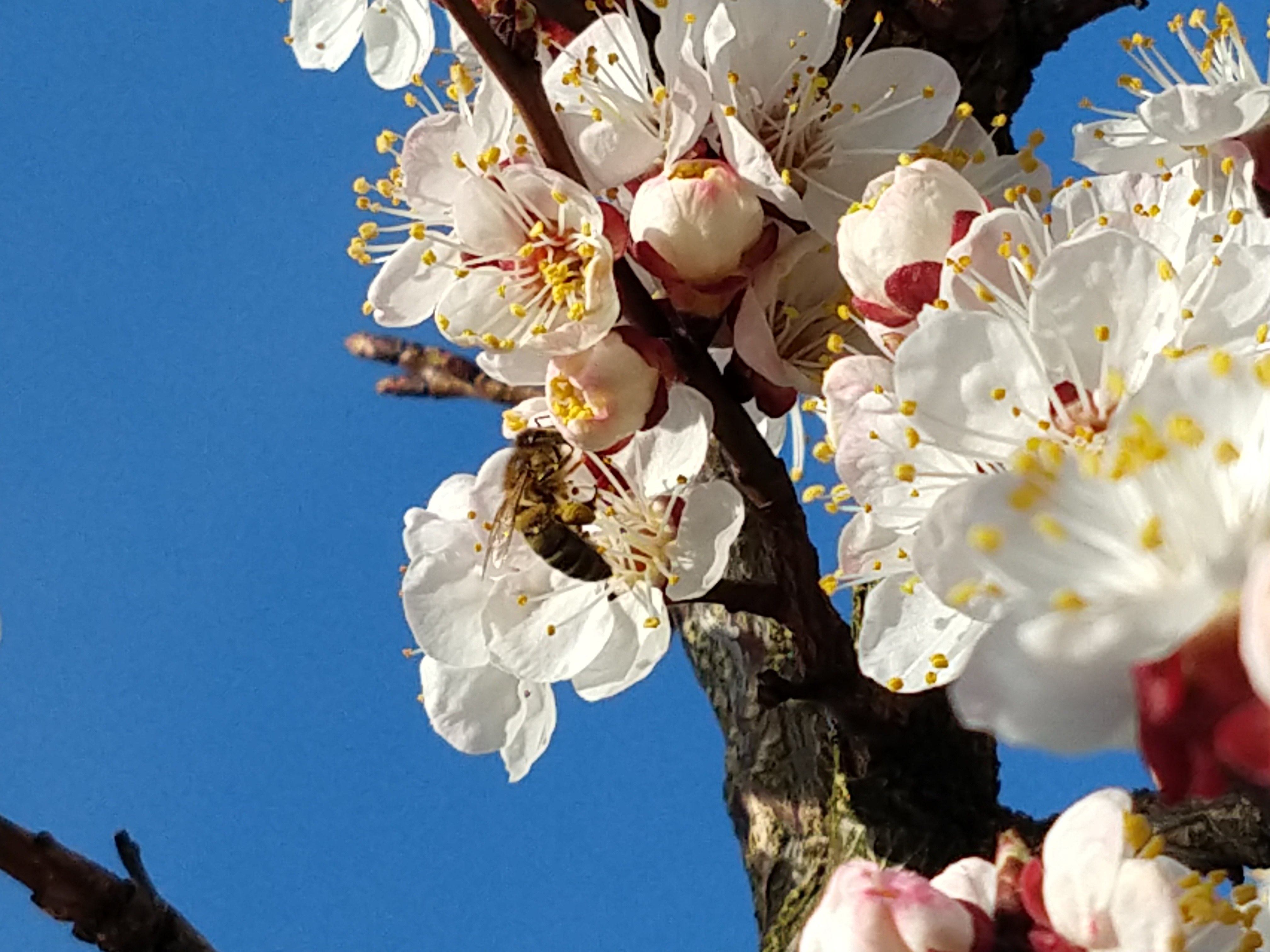 Frühstückspension: Haus Sundl
