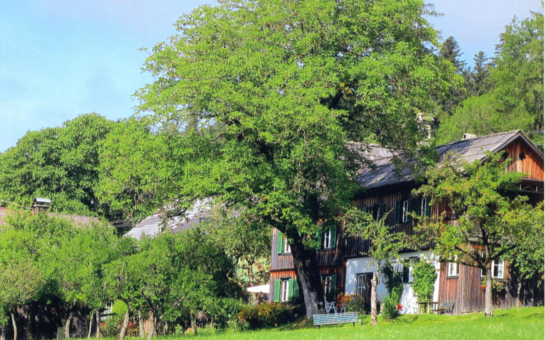 Pensionen - Parkplatz: kostenlos bei der Pension - Ausseerland - Salzkammergut - Gesamtansicht Hütterhof - Hütterhof
