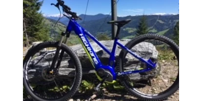 Pensionen - Parkplatz: kostenlos bei der Pension - Leogang - Aparthotel Bergtraum