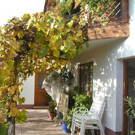Frühstückspension: Herbstliche Weinlaube - Apart Haus Florian Imst Tirol
