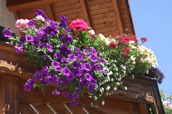 Frühstückspension: Sommer Balkon - Apart Haus Florian Imst Tirol