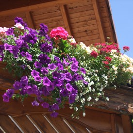 Frühstückspension: Sommer Balkon - Apart Haus Florian Imst Tirol