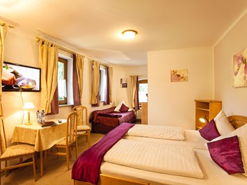 Land-gut-Hotel Gasthof Waldschänke Zimmerkategorien 3-Bettzimmer