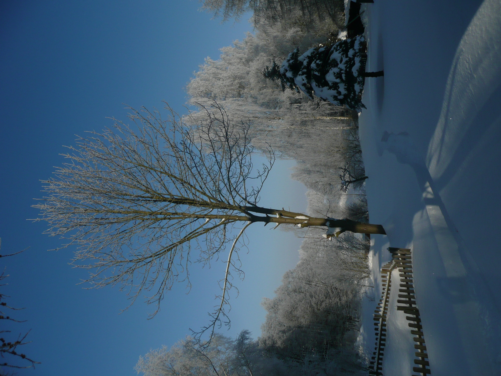 Frühstückspension: Unser Garten im Winter - Landhaus am Forst