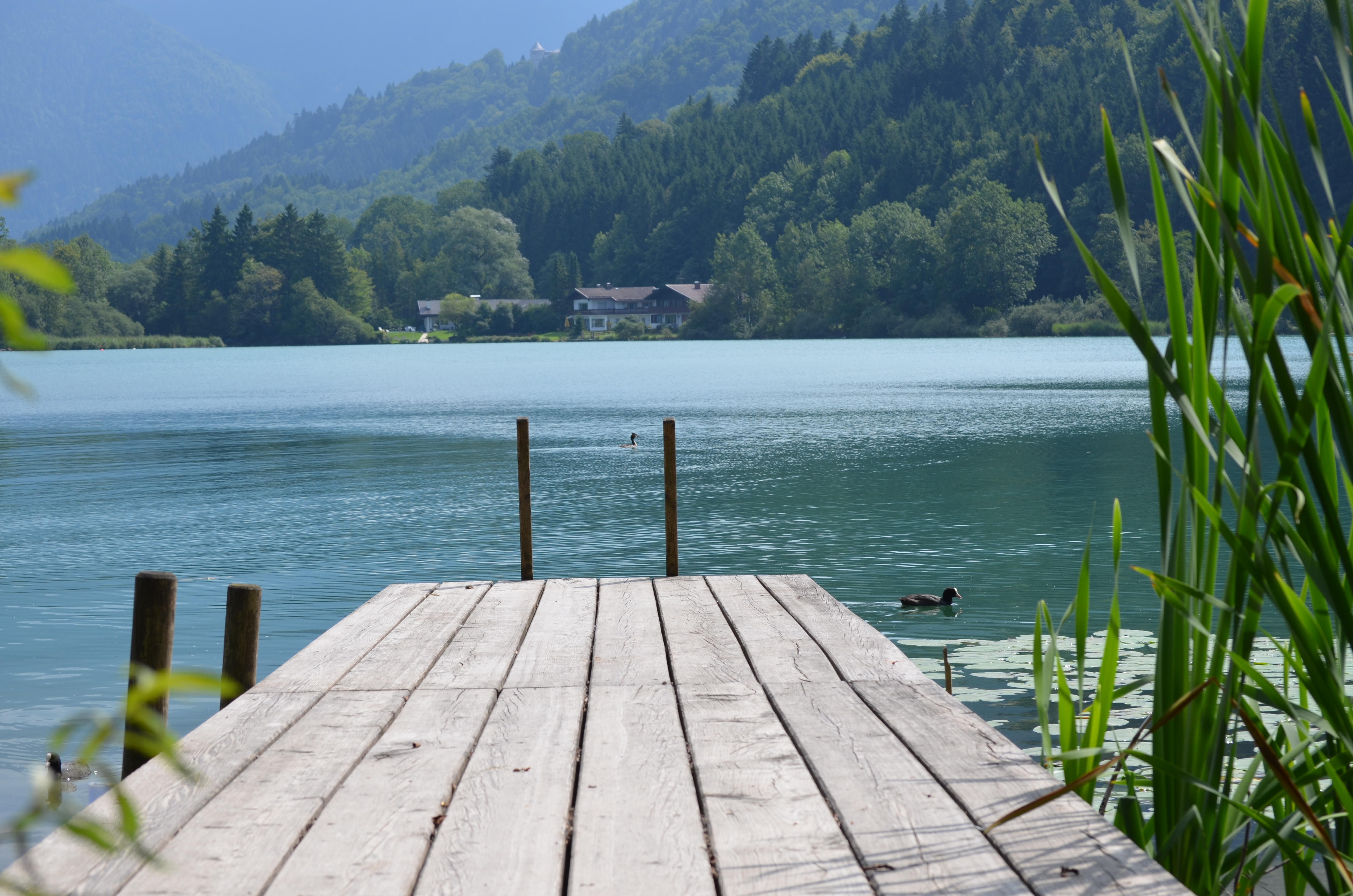 Pensionen - Bruckmühl (Landkreis Rosenheim) - Hotel Pension Ostler ihr Urlaubsziel am Tegernsee - Hotel Pension Ostler